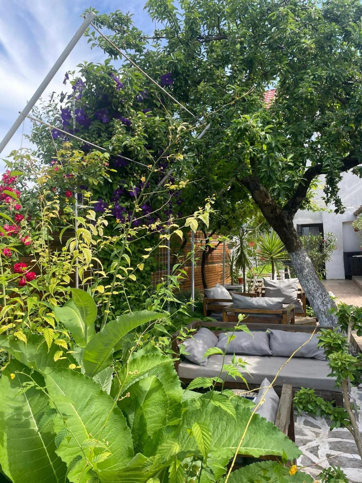 Casa Mediterana 多亚马伊 外观 照片
